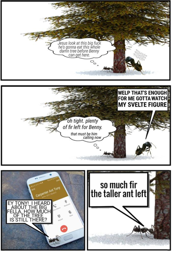 4-panel comic. panel 1 shows two ants of different sizes at the base of a tree. the smaller ant has a thought bubble saying "Jesus look at this big fuck he’s gonna eat this whole damn tree before Benny, can get here". In panel 2 the larger ant has a speech bubble saying "WELP THAT'S ENOUGH FOR ME GOTTA WATCH MY SVELTE FIGURE" and the small ant has a thought bubble saying "oh tight. plenty of fir left for Benny. that must be him calling now". In panel 3 another small ant sits on a smartphone which has a call in progress with a contact named "Carpenter Ant Tony". The ant on the phone says "EY TONY! I HEARD ABOUT THE BIG FELLA. HOW MUCH OF THE TREE IS STILL THERE?". In panel 4 the first ant (still eating the tree) has a speech bubble saying "so much fir the taller ant left".